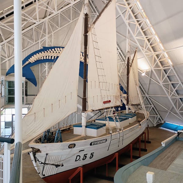 Museum and Art Gallery of the Northern Territory 3