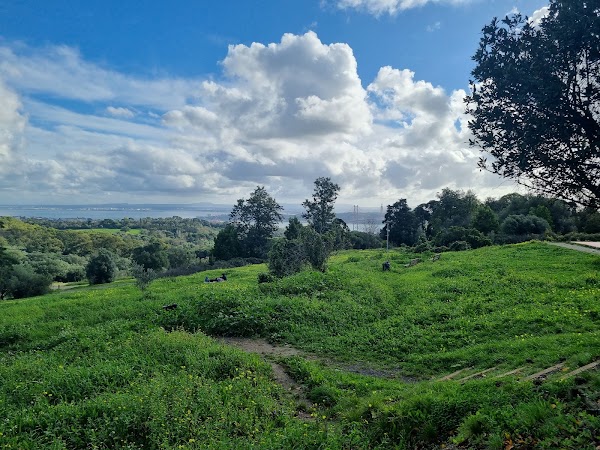 Parque Florestal de Monsanto 2