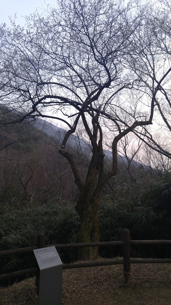 Gucheung-Am 1