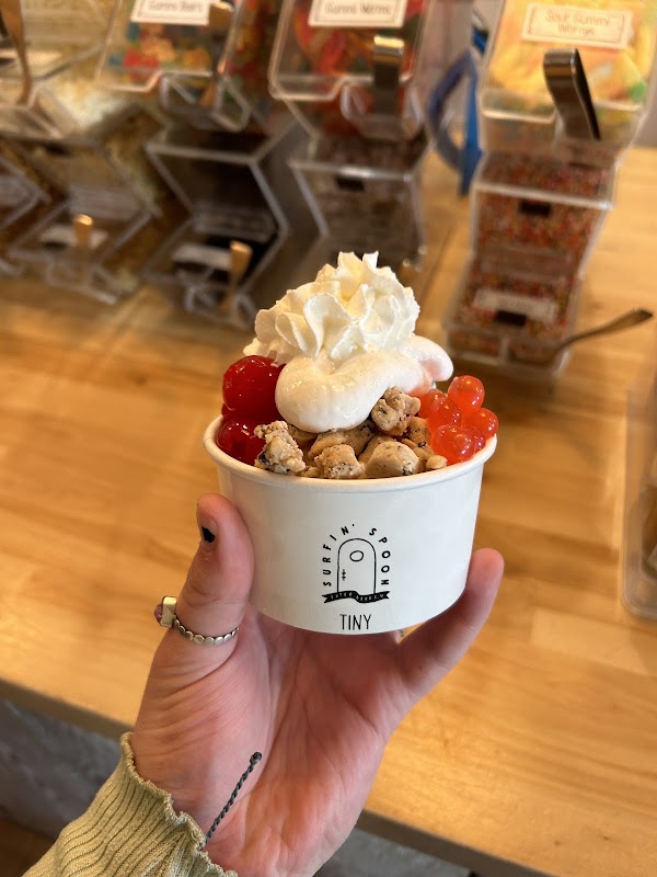 Surfin' Spoon Frozen Yogurt Bar 3