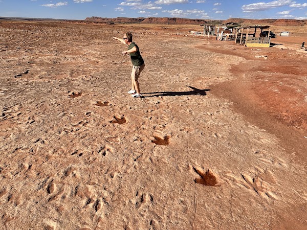 Navajo Moenave Dinosaur Tracks