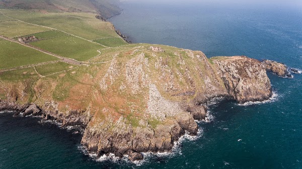 Torr Head 4