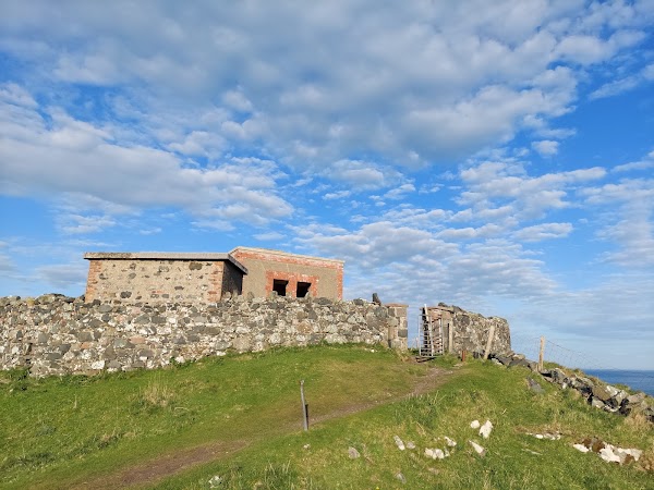 Torr Head 3