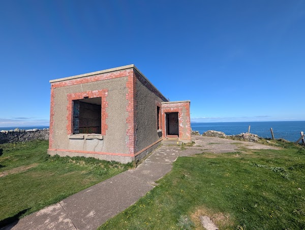 Torr Head 2