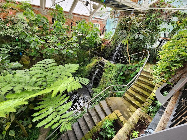 Botanic Gardens 5
