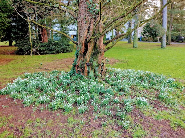 Botanic Gardens 4