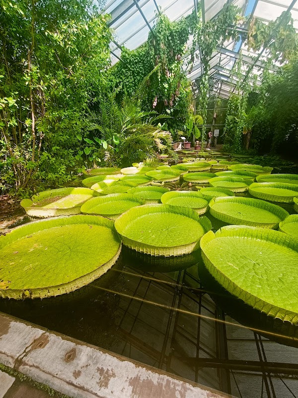 Botanical Garden, Bonn 5