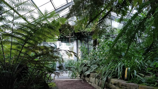 Botanical Garden, Bonn 3