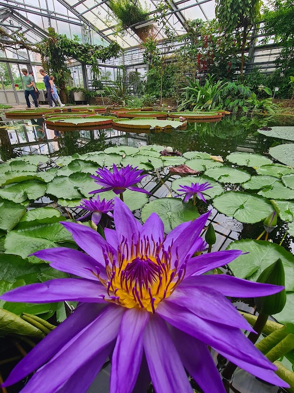 Botanical Garden, Bonn 2