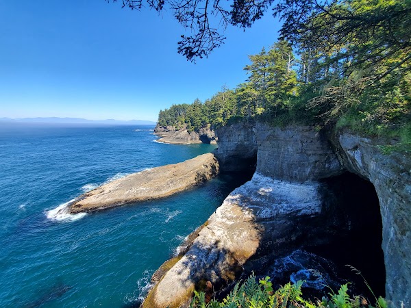 Cape Flattery Trail 1