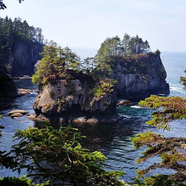 Cape Flattery Trail 5