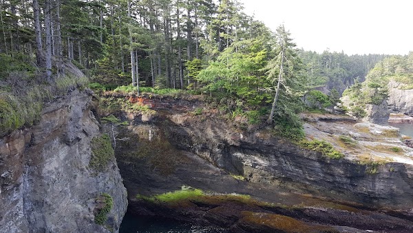 Cape Flattery Trail 4