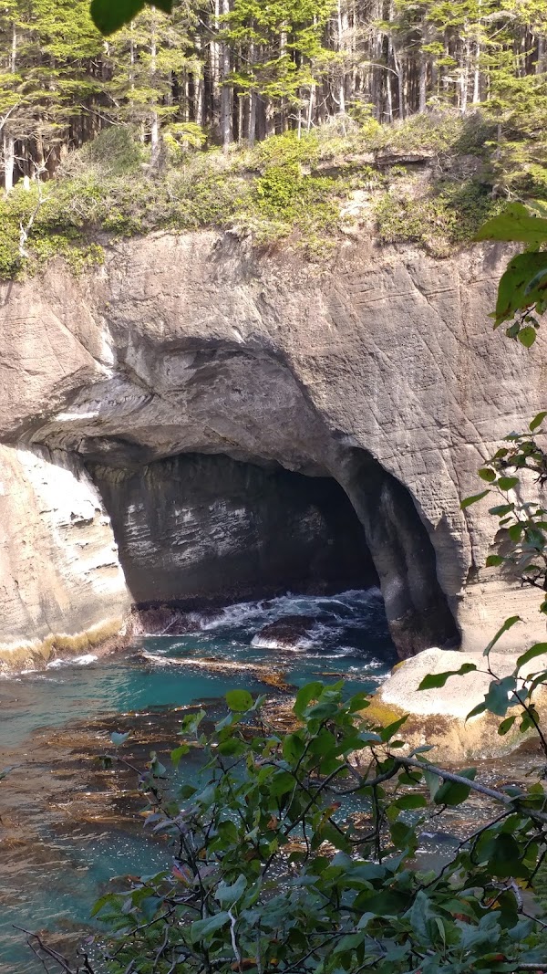 Cape Flattery Trail 3