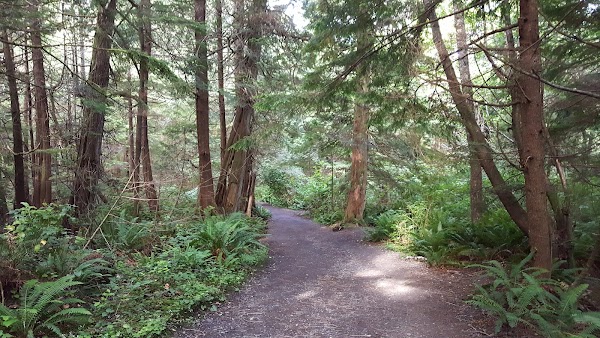 Cape Flattery Trail 2