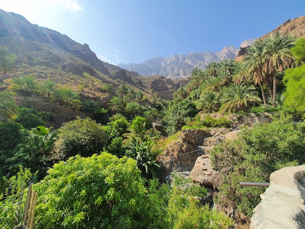 Al Fara’a