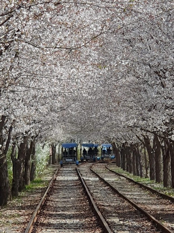 Gapyeong Rail Park 4