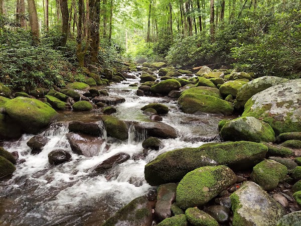 Great Smoky Mountains National Park 5
