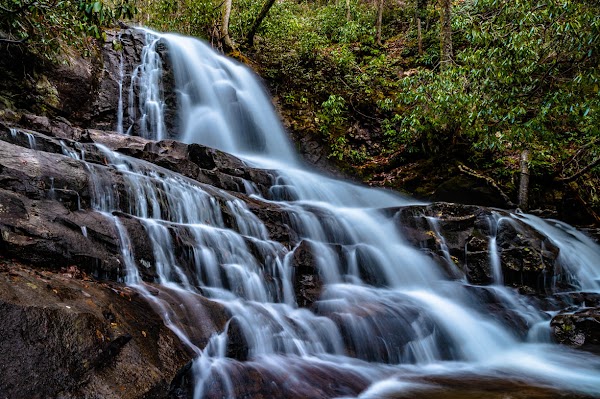Great Smoky Mountains National Park 4
