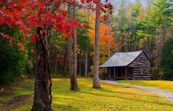 Great Smoky Mountains National Park 3