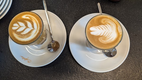 Cafelix Shlomo Hamelech 4