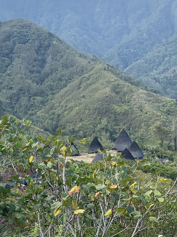 Bena Traditional Village (Thatched Roof Village) 5