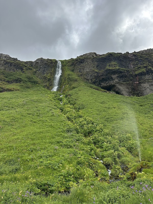 Seljalandsfoss 4