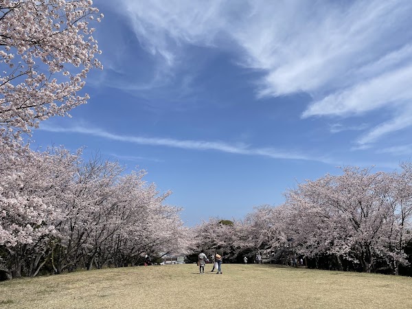 Mt. Aonoyama Summit Observation Deck 2