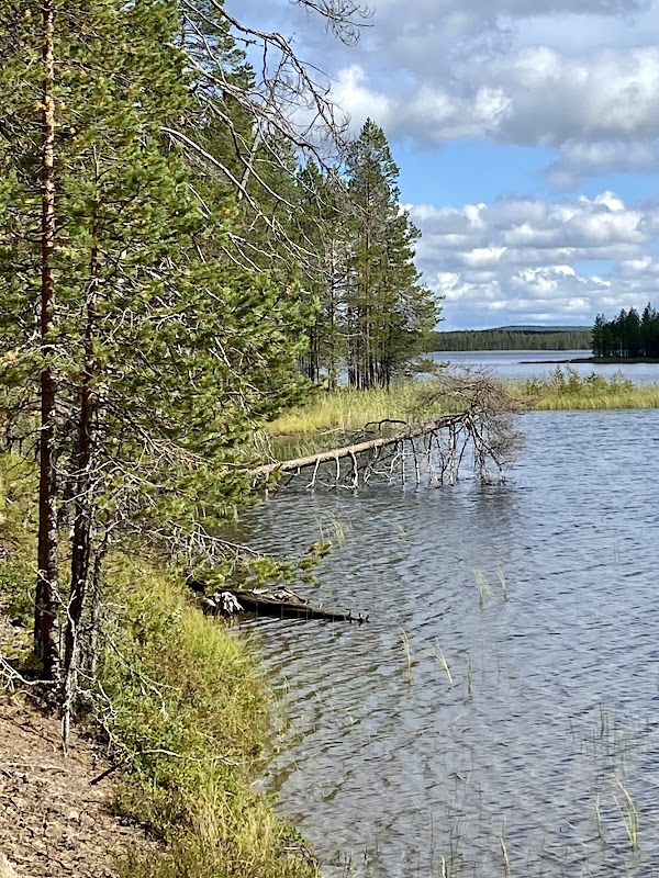 Livojärvi 1