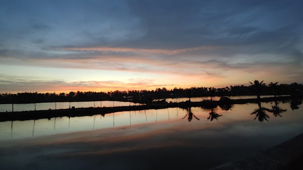 Kuzhuppilly Beach 3