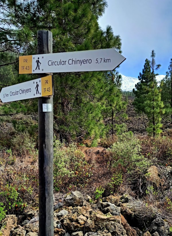 Chinyero Volcano 4