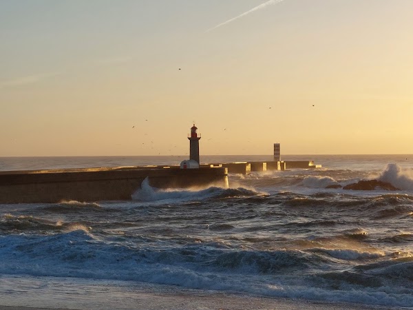 Ingleses Beach 3