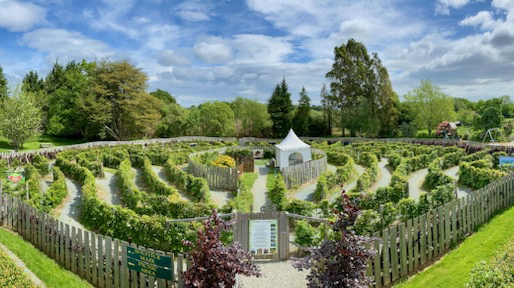 Greenan Maze