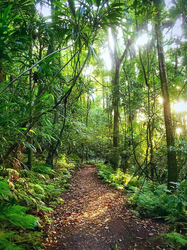 Main Range National Park 2