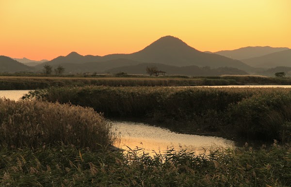 Suncheon Bay 1