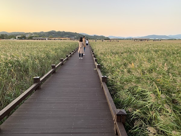 Suncheon Bay 3