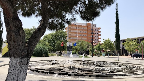 Divjakë 4