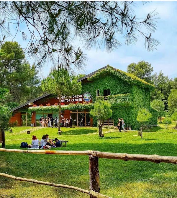 Divjakë 2