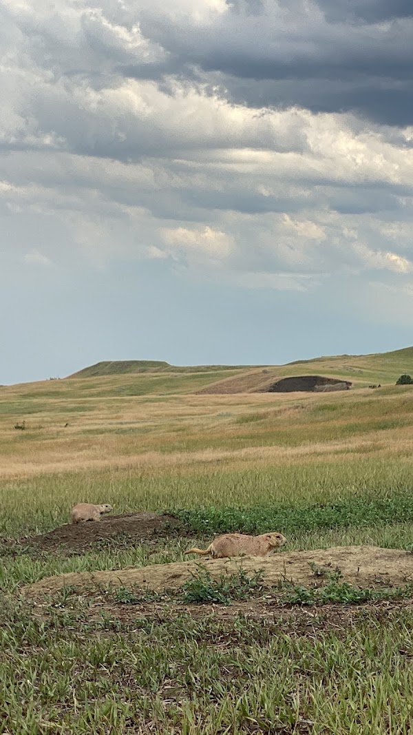 Roberts Prairie Dog Town 4