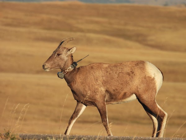 Hay Butte Overlook 2