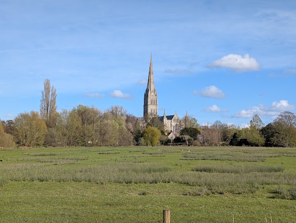 Harnham Water Meadows 1