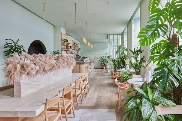 Mayvn Cafe 1