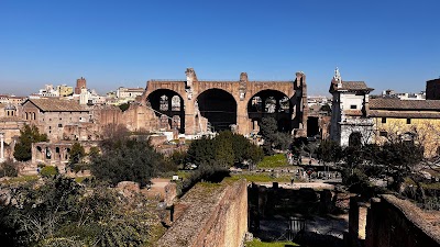 Basilica of Maxentius 2