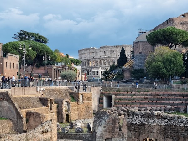 Basilica of Maxentius 5