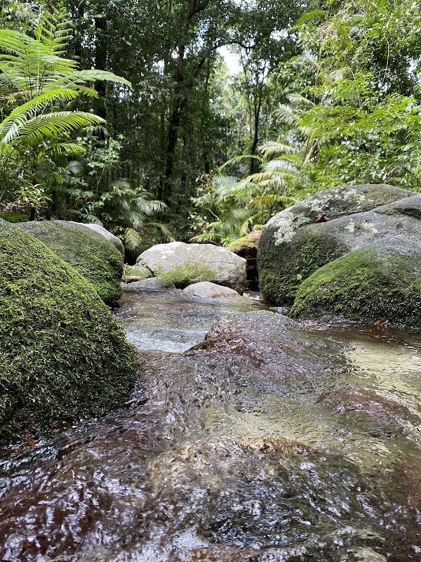 Mossman Gorge 2