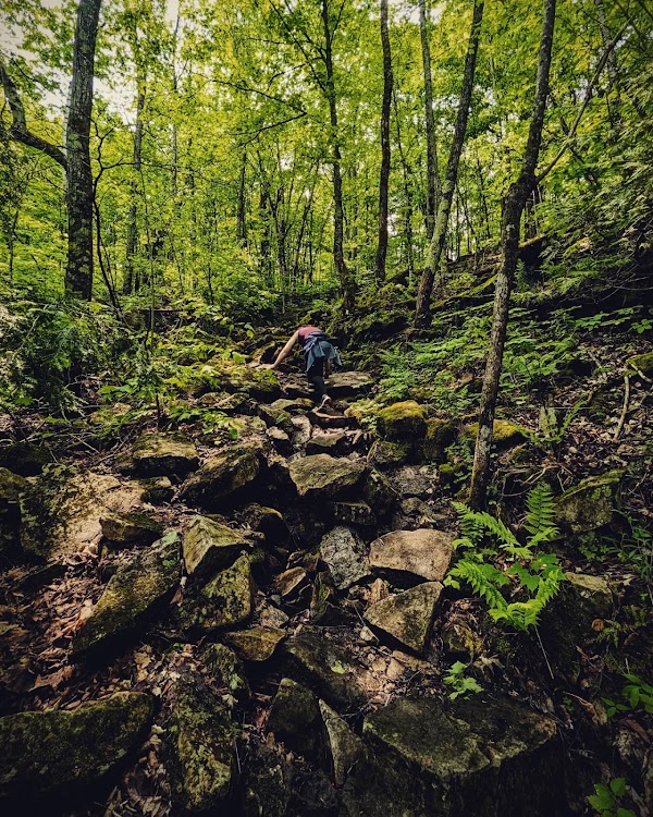 Sandstone Island Trail 1