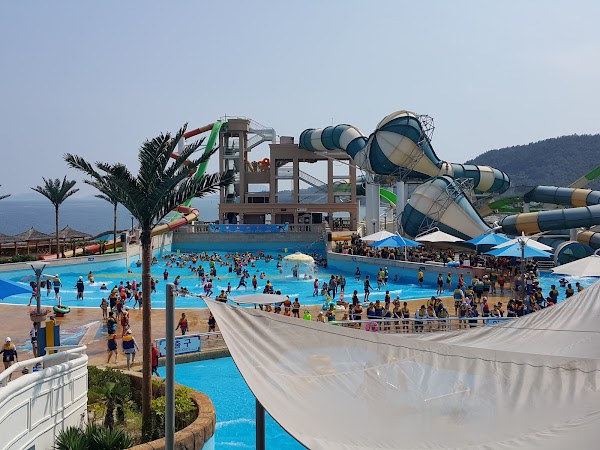 The Ocean Resort 1