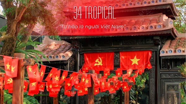 34 Tropical 1