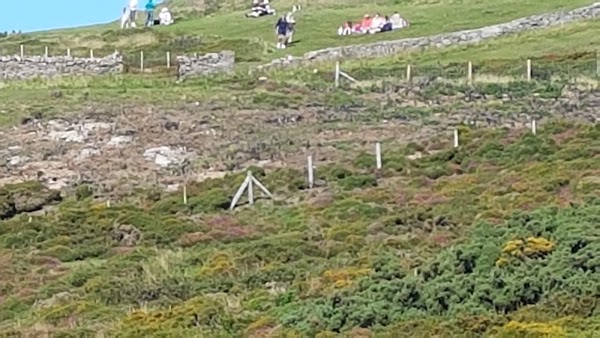 Great Orme