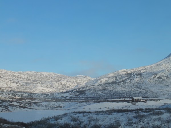 Greenland 5