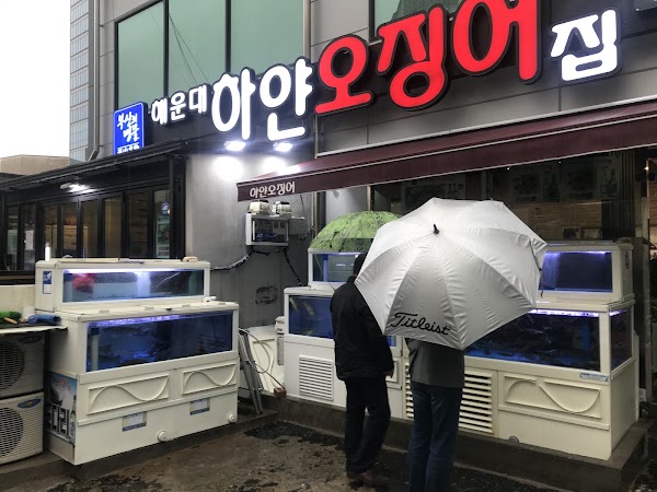 해운대하얀오징어집